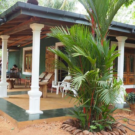 סיגירייה Thilina Homestay מראה חיצוני תמונה