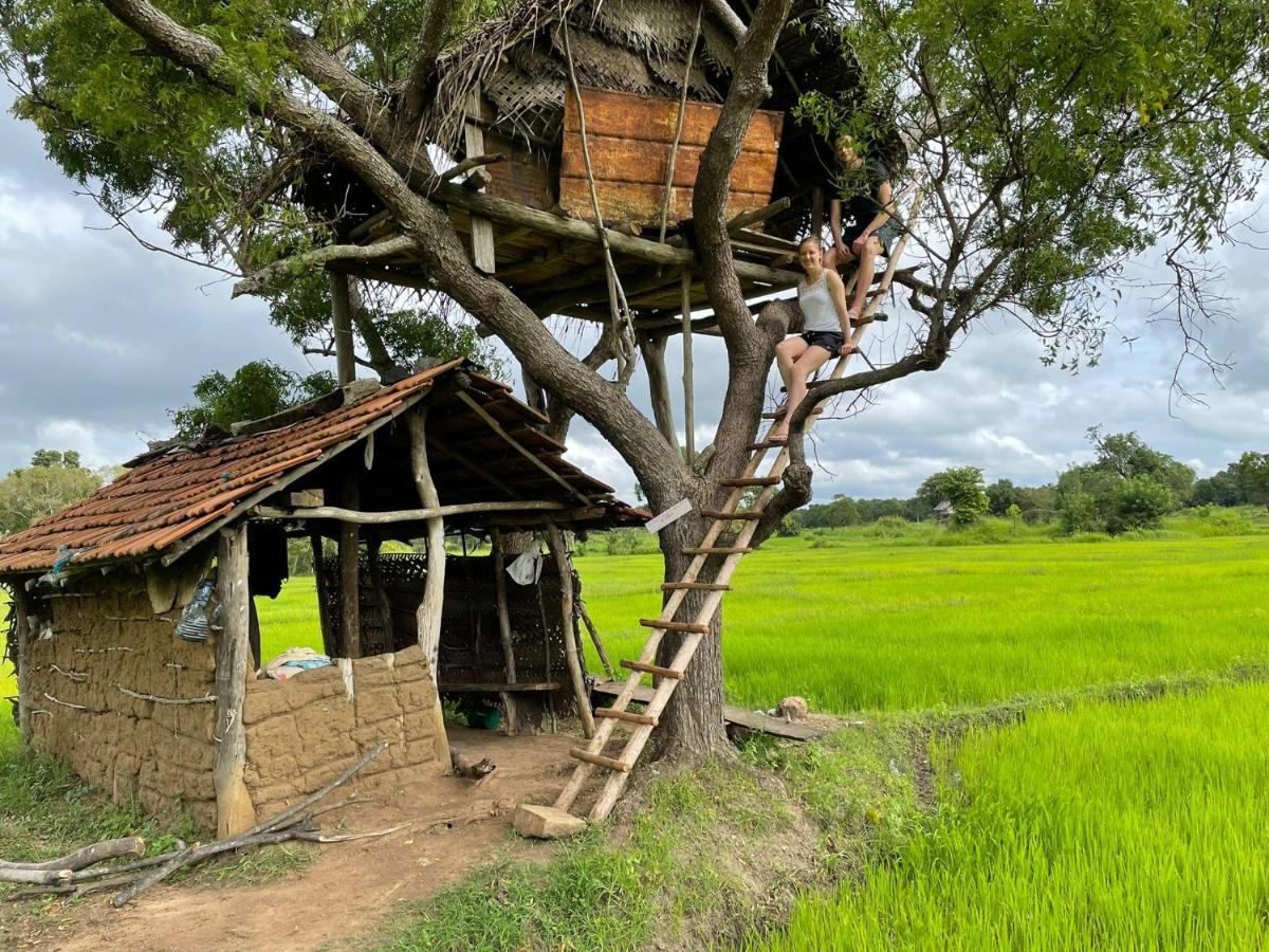 סיגירייה Thilina Homestay מראה חיצוני תמונה