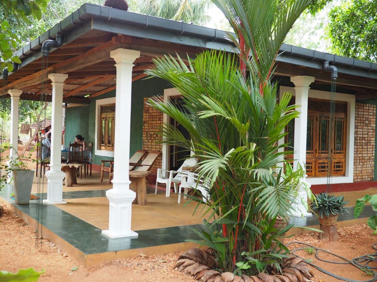 סיגירייה Thilina Homestay מראה חיצוני תמונה